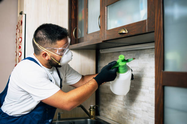 Reliable Bisbee, AZ Pest Control Solutions