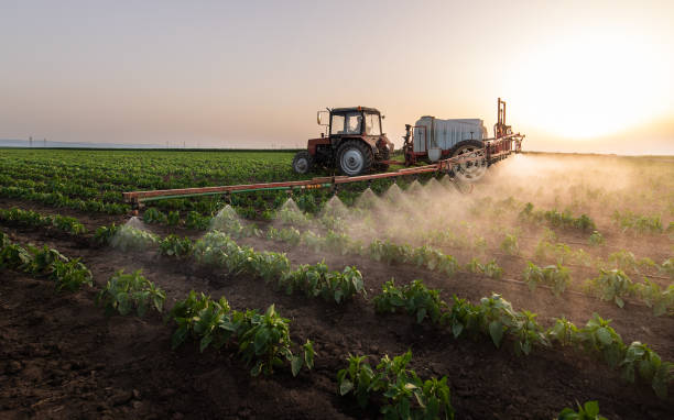 Best Commercial Pest Control Services  in Bisbee, AZ